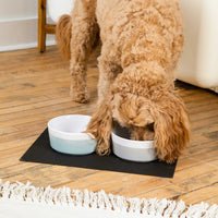 Dipper Ceramic Dog Bowl