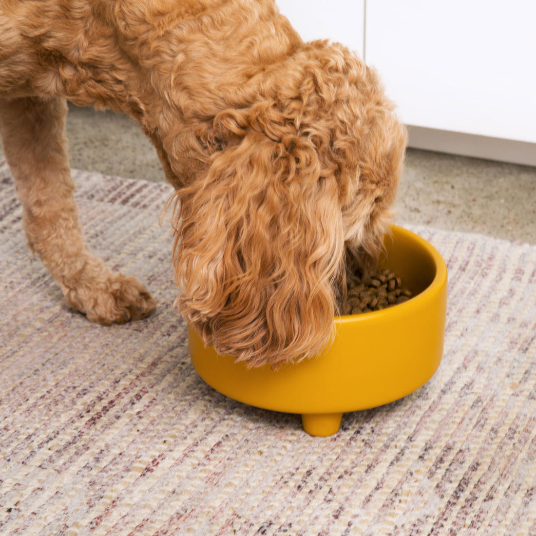 Uplift Bowl Ceramic Dog Bowl