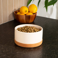 Corky Ceramic Dog Bowl