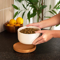 Corky Ceramic Dog Bowl