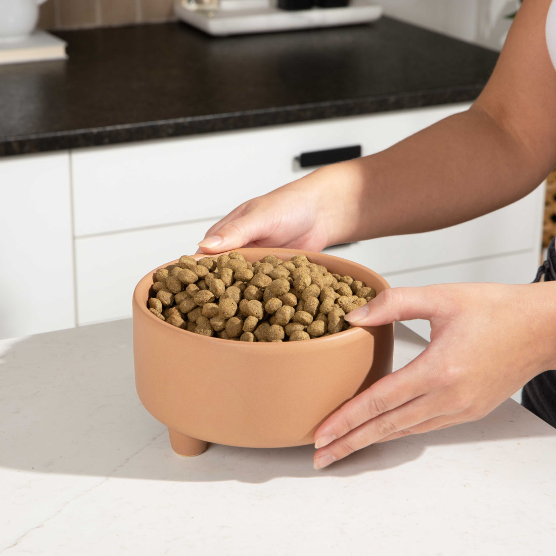 Uplift Bowl Ceramic Dog Bowl