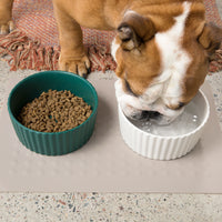 Bubbles Dog Placemat