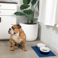 Bubbles Dog Placemat