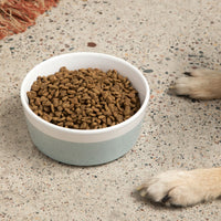 Dipper Ceramic Dog Bowl