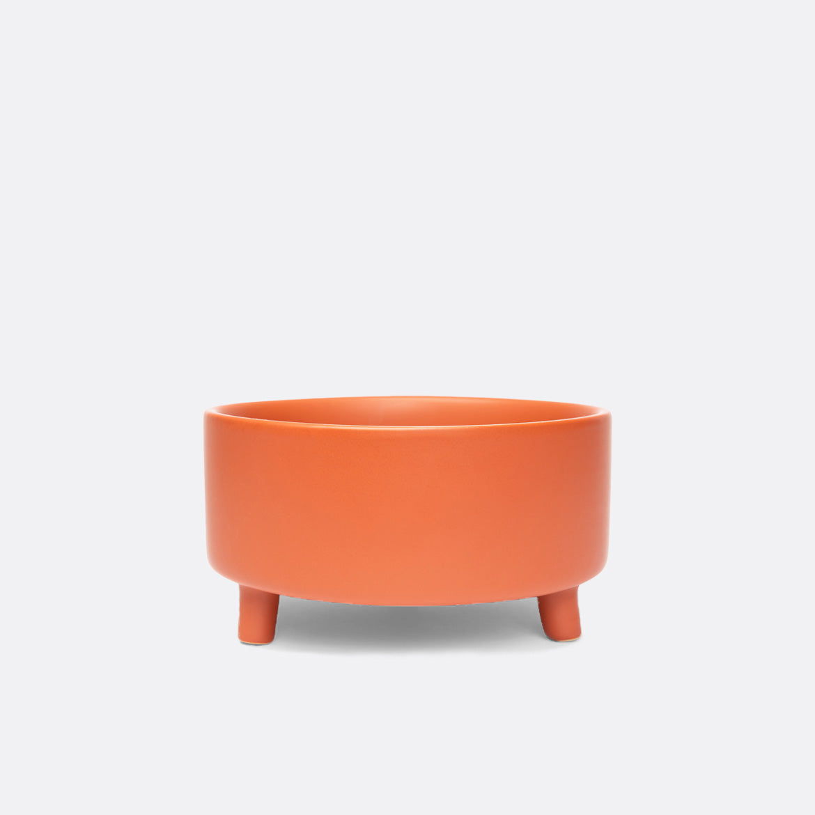 Ergonomic Ceramic Pet Bowl – Wishbone