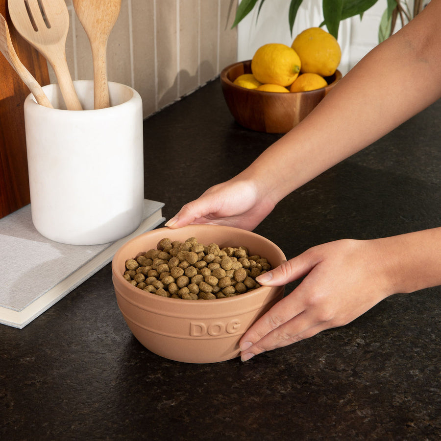 Farmhouse Ceramic Dog Bowl