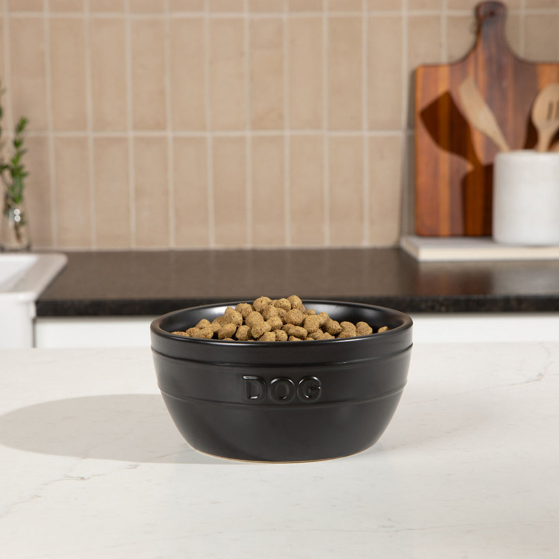 Farmhouse Ceramic Dog Bowl