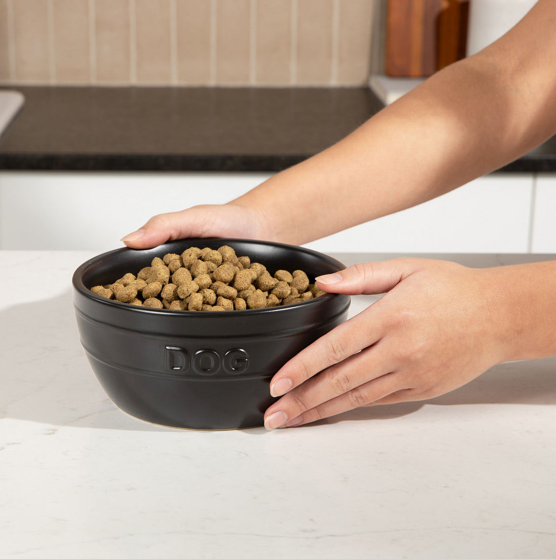 Farmhouse Ceramic Dog Bowl