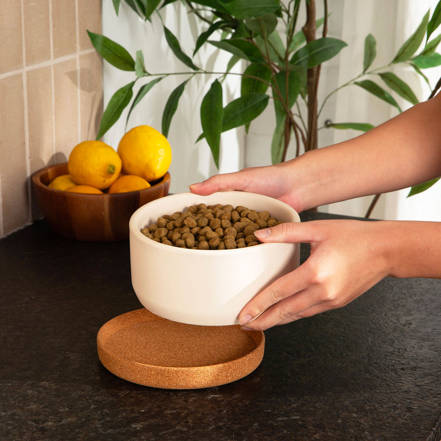 Corky Ceramic Dog Bowl