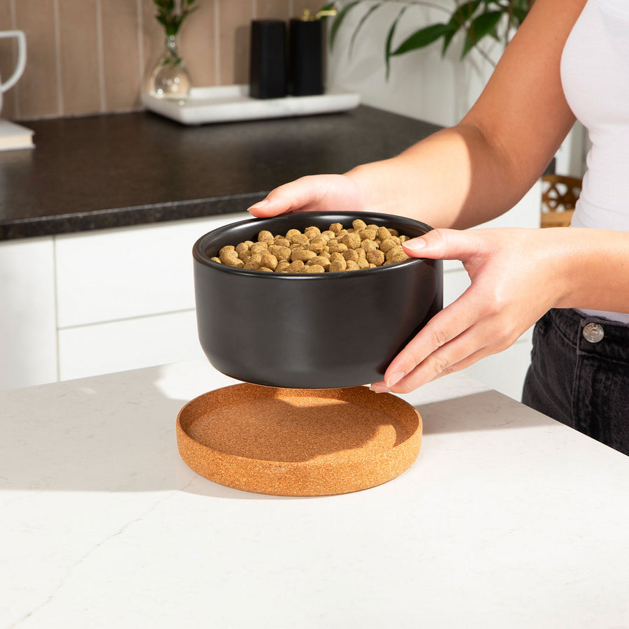 Corky Ceramic Dog Bowl