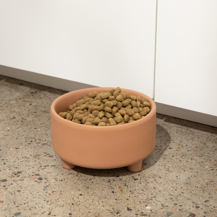 Uplift Bowl Ceramic Dog Bowl