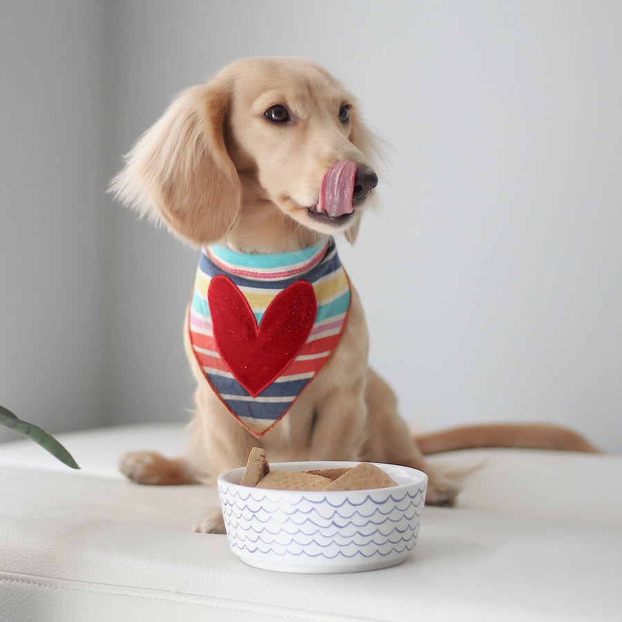 Sketched Wave Ceramic Dog Bowl