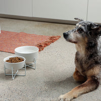 Simple Solid Bowl + Dog Bowl Stand