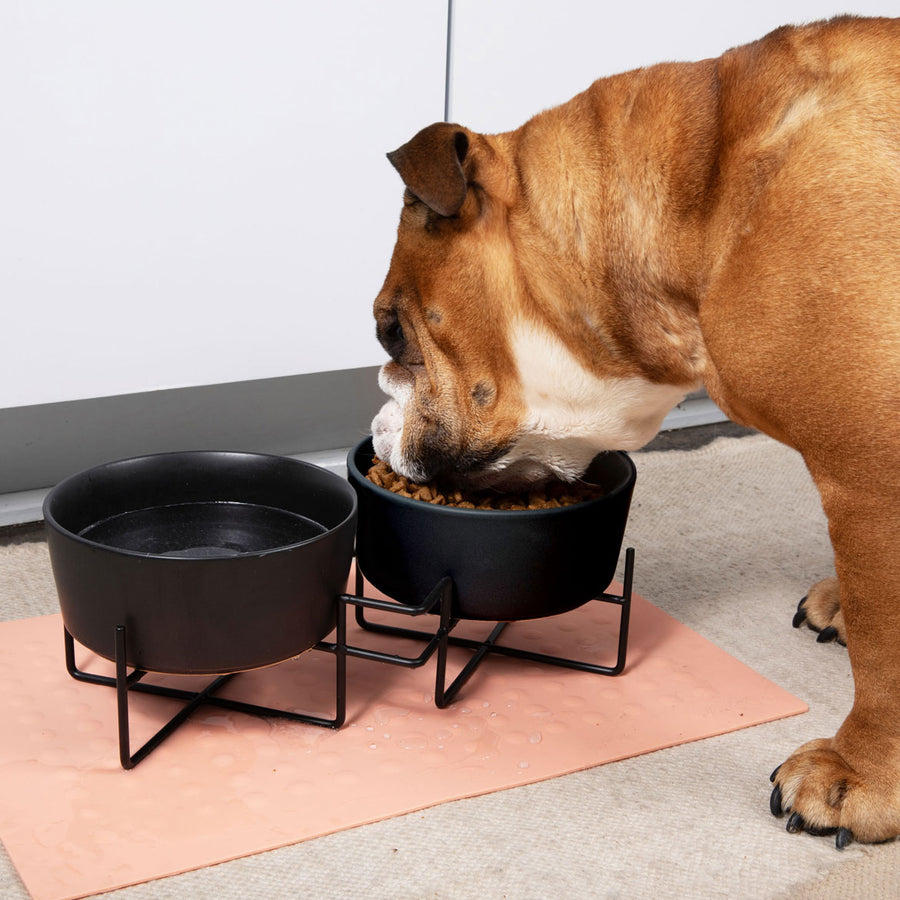 Simple Solid Double Feeder Bowl + Dog Bowl Stand
