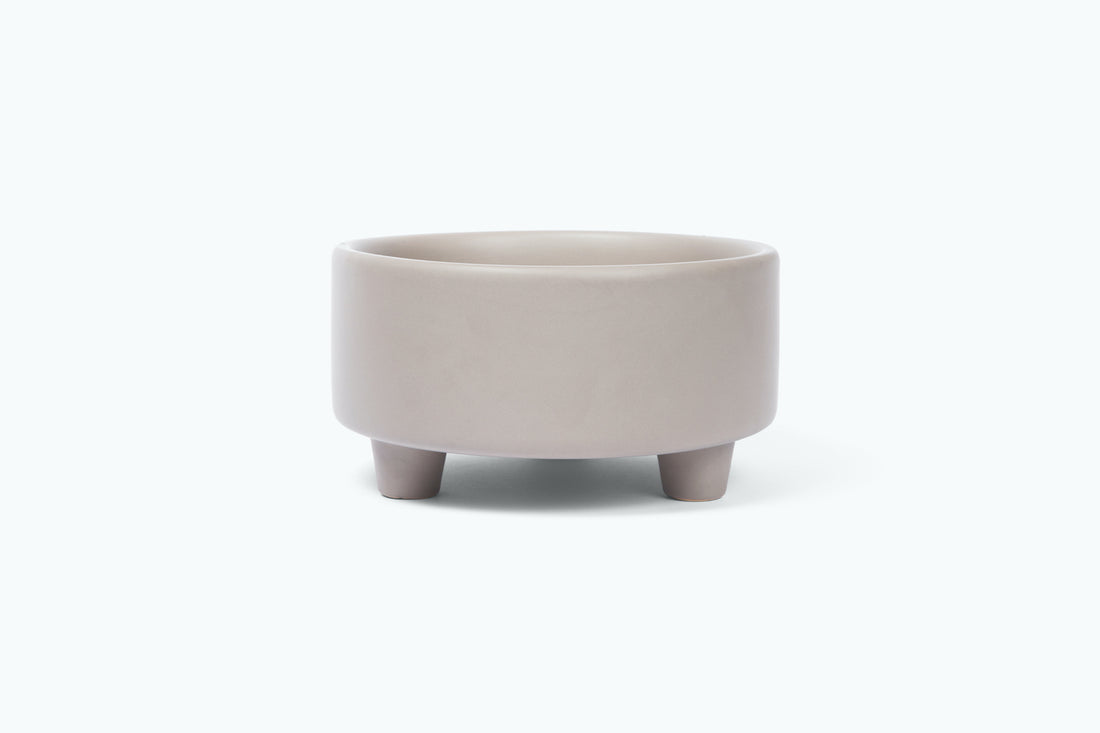 Waggo Uplift Ceramic Dog Bowl