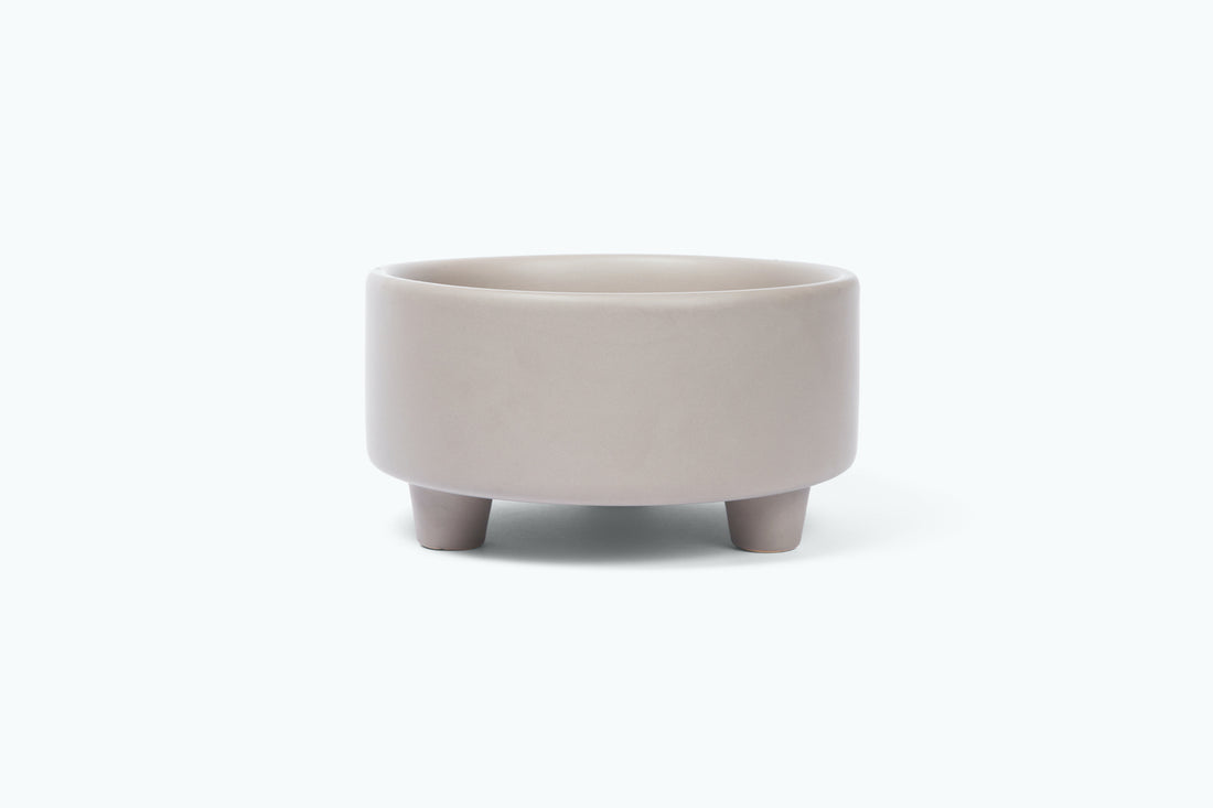 Bowls – The Pooch Collective