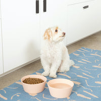 Habit Silicone Dog Bowl