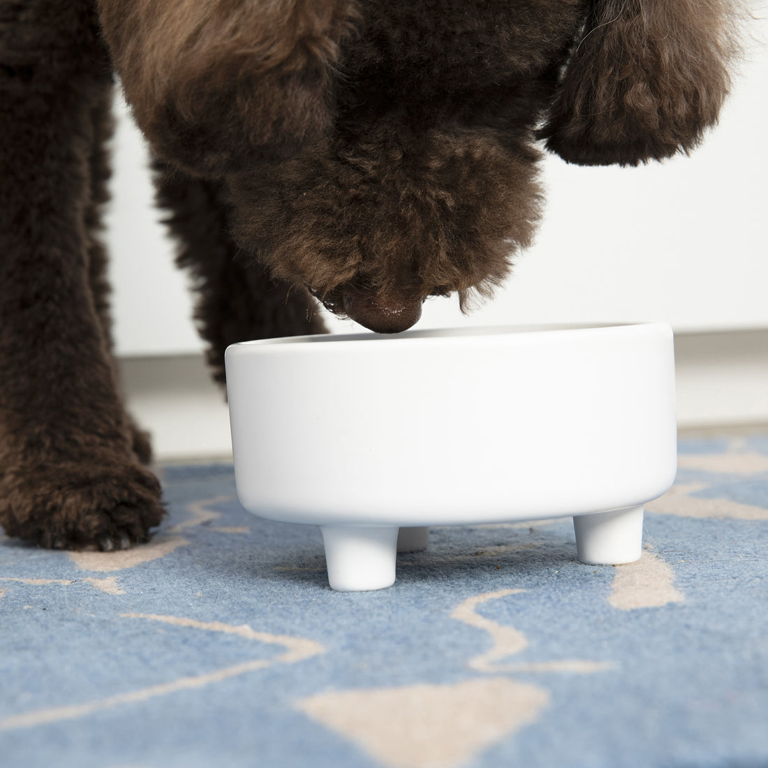 Fable  Dog Bowl Made of Durable Ceramic