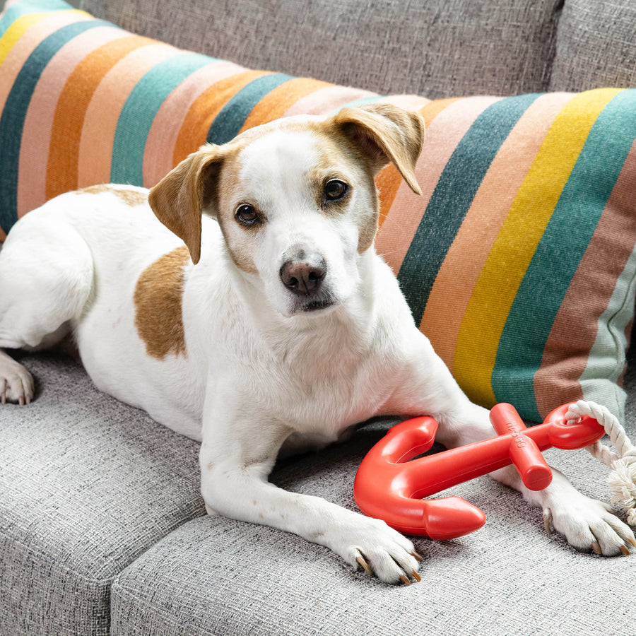 Anchors Aweigh Rubber Dog Toy