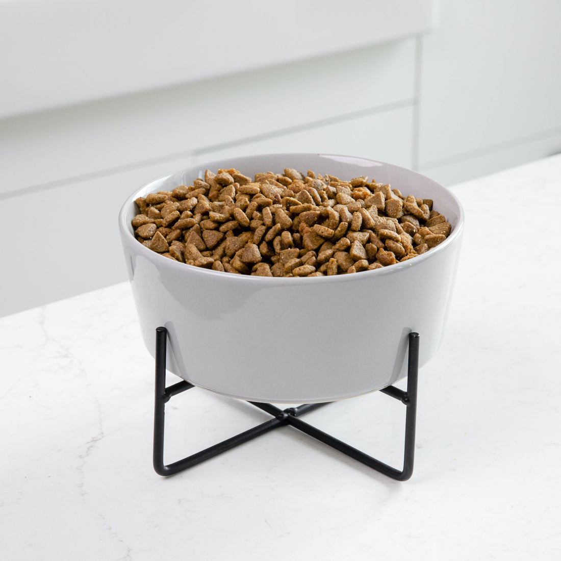 Simple Solid Dog Bowl Stand