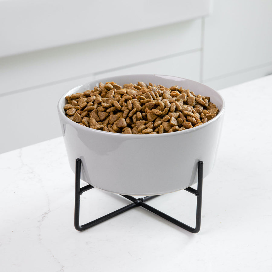 Simple Solid Dog Bowl Stand