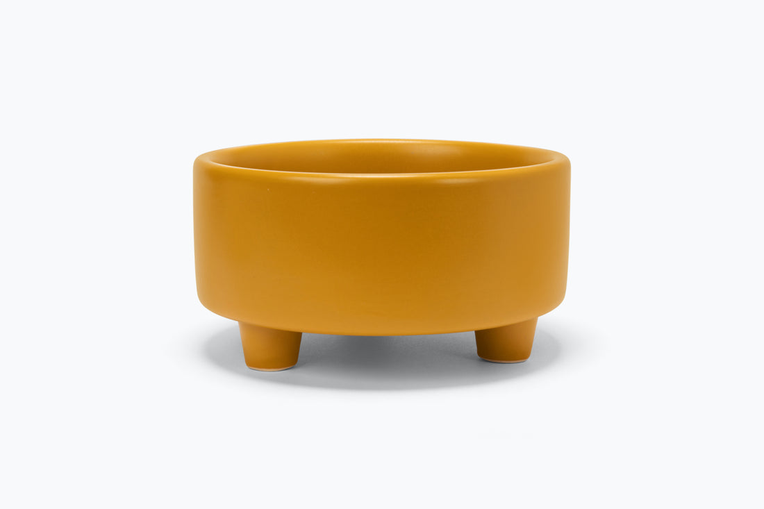 Bowls – The Pooch Collective